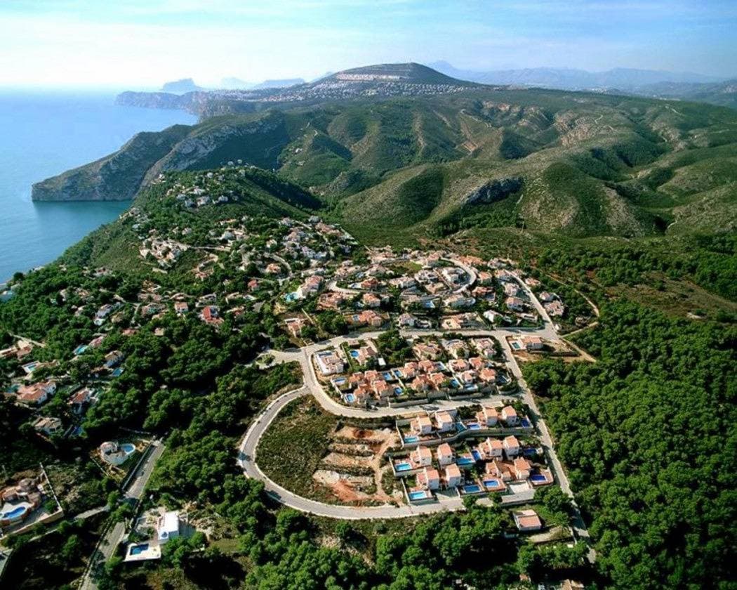 Foto 13 von 14: 0352 Canela -Monte Javea-