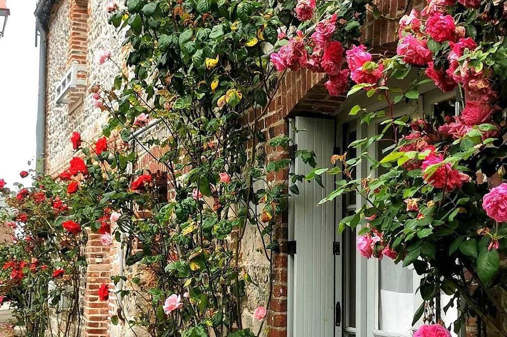 Foto 8 von 23: Apartment le Beluga - near the sea - center of Veules-Les-Roses
