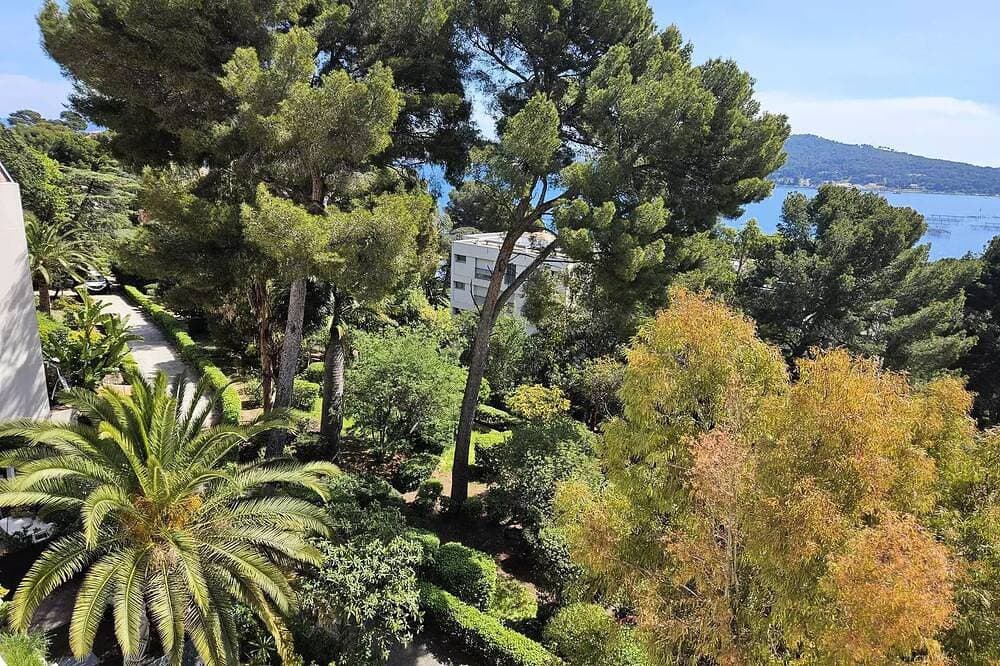 Foto 5 von 12: Residence Port Tamaris - Superb sea view, on the top floor with elevator, residence with swimming pool