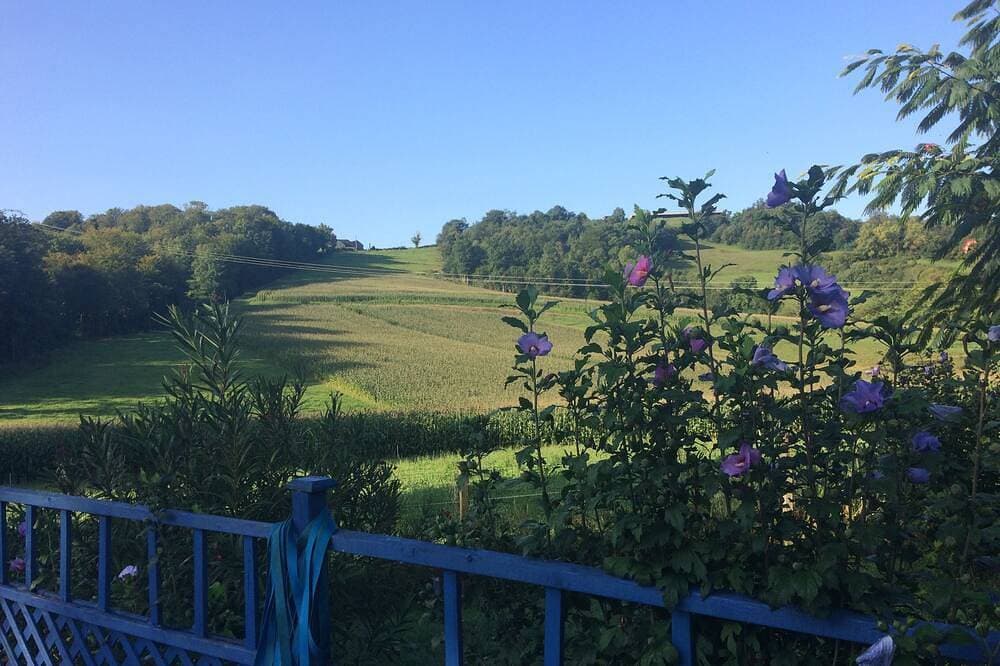 Foto 9 von 30: 17th Century farm cottage nestling in the Pyrenean foothills with pool