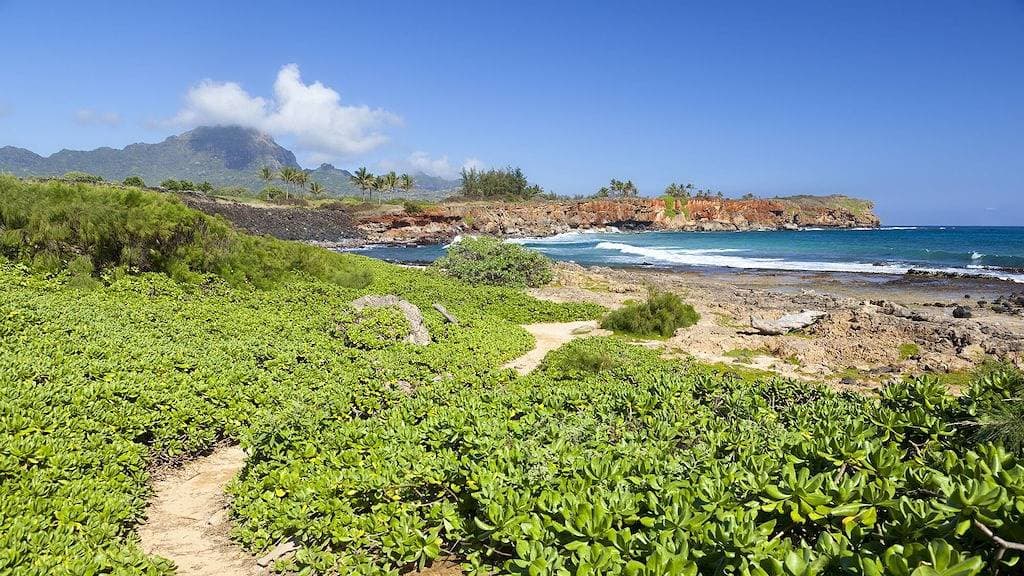 Foto 3 von 32: Nihi Kai 807 Ocean View - Pool am Meer in Poipu-25% Rabatt Auf Ausgewählte Daten 2020