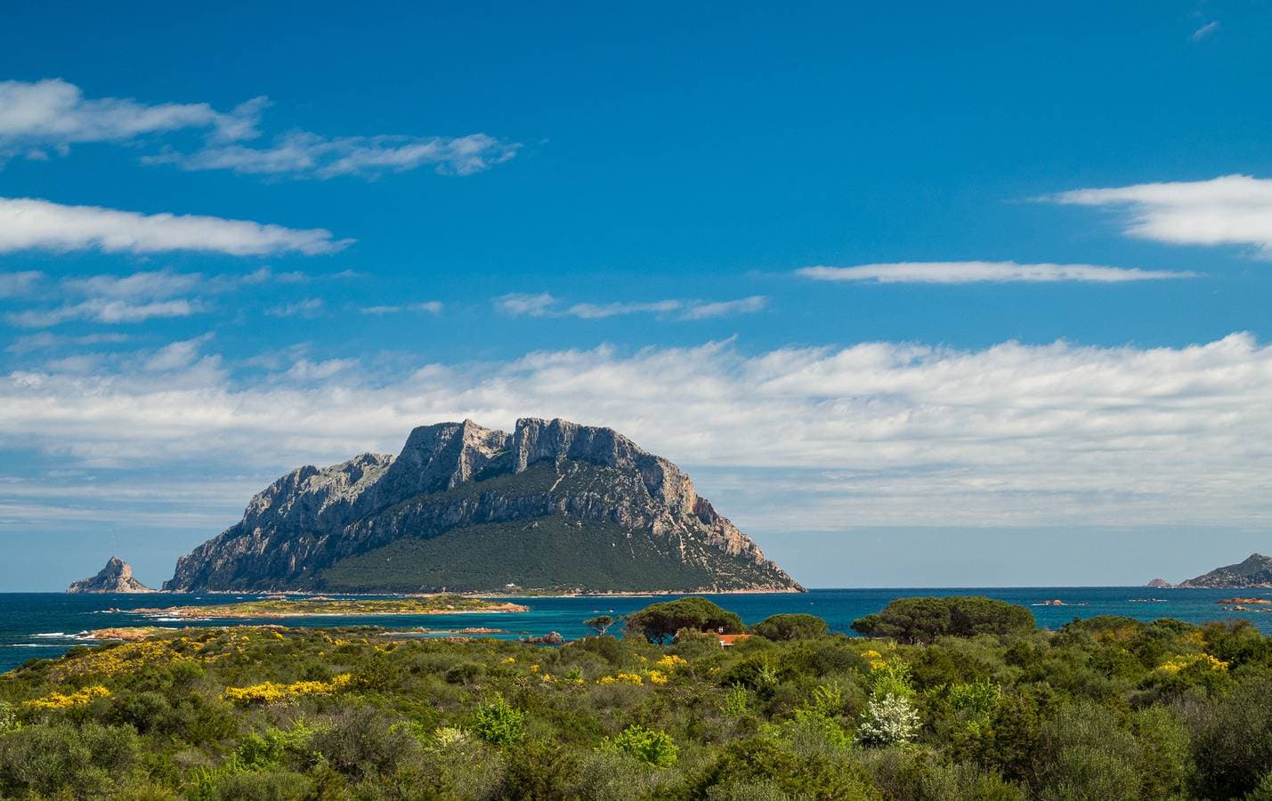 Foto 4 von 22: Il Poggio 18 &amp;amp;amp;ndash; Ferienhaus mit Pool auf Sardinien