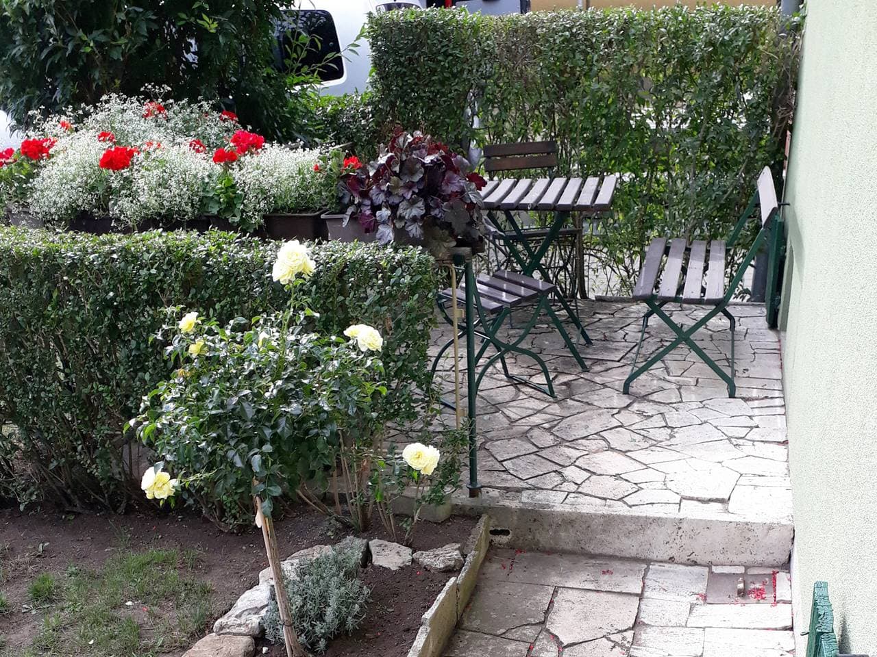 Foto 12 von 12: Ferienwohnung zur Rosenkönigin