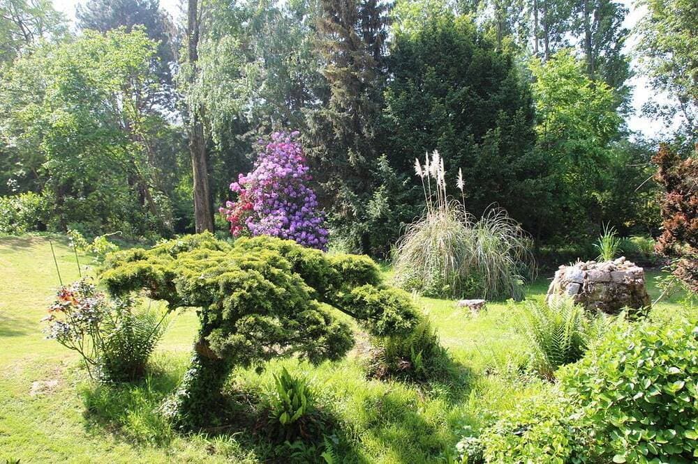Foto 11 von 28: Der Turm von La Mare aux Loups zwischen Meer und Wald