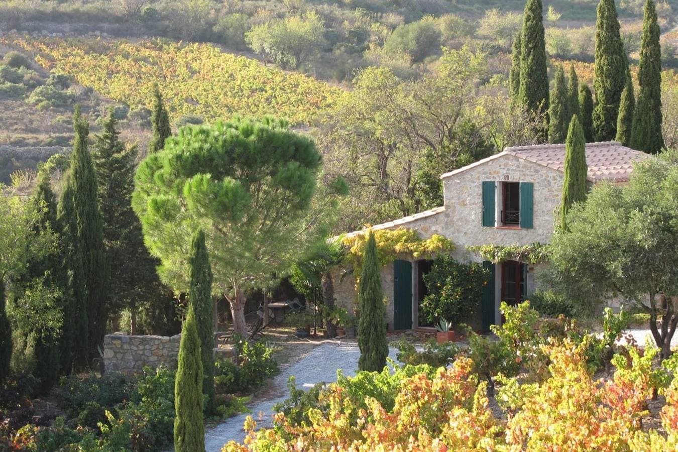 Gîte au Milieu des Vignes 1