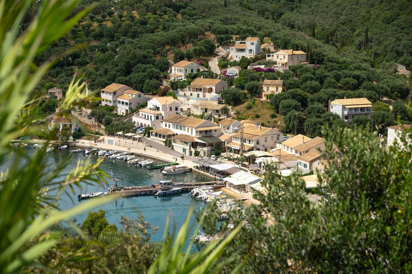 Foto 2 von 28: Spiros Saint Stephanos
