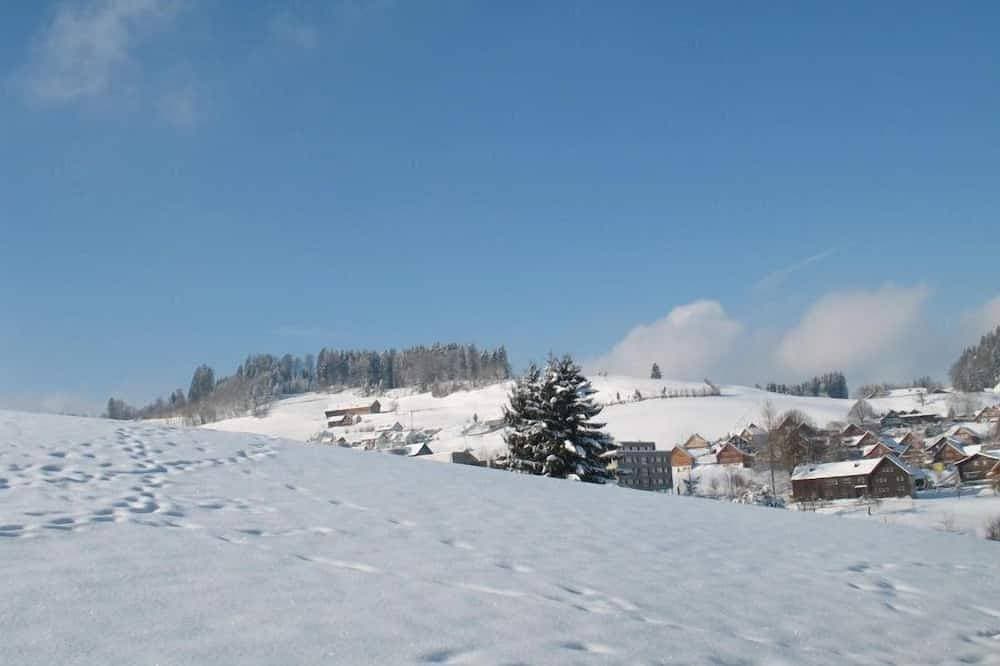 Foto 8 von 30: Großes freistehendes Ferienhaus, familienfreundlich , Traumlage, St Gallen, WLAN