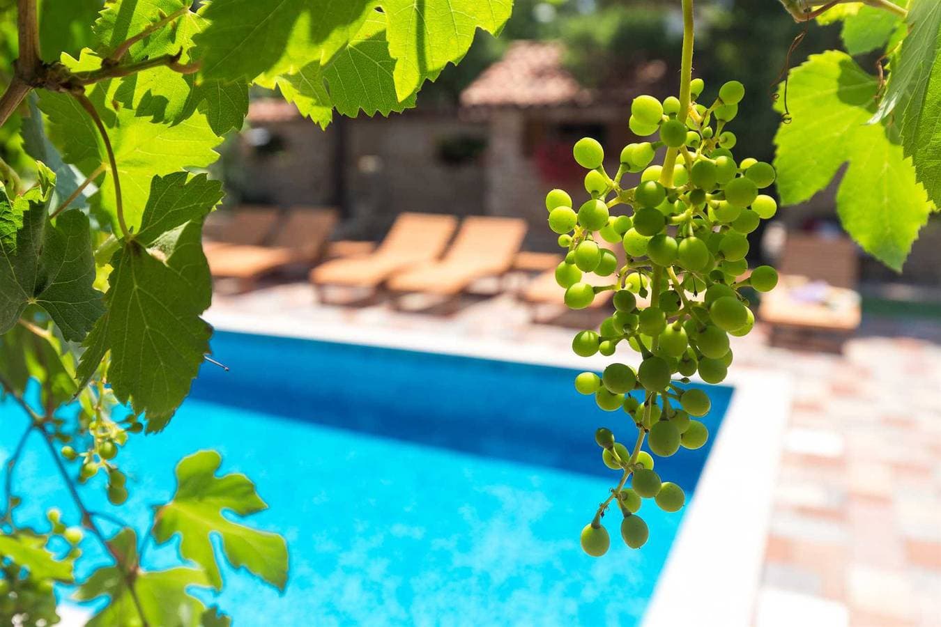 Foto 7 von 29: Ferienwohnung Antonia 2 mit Pool