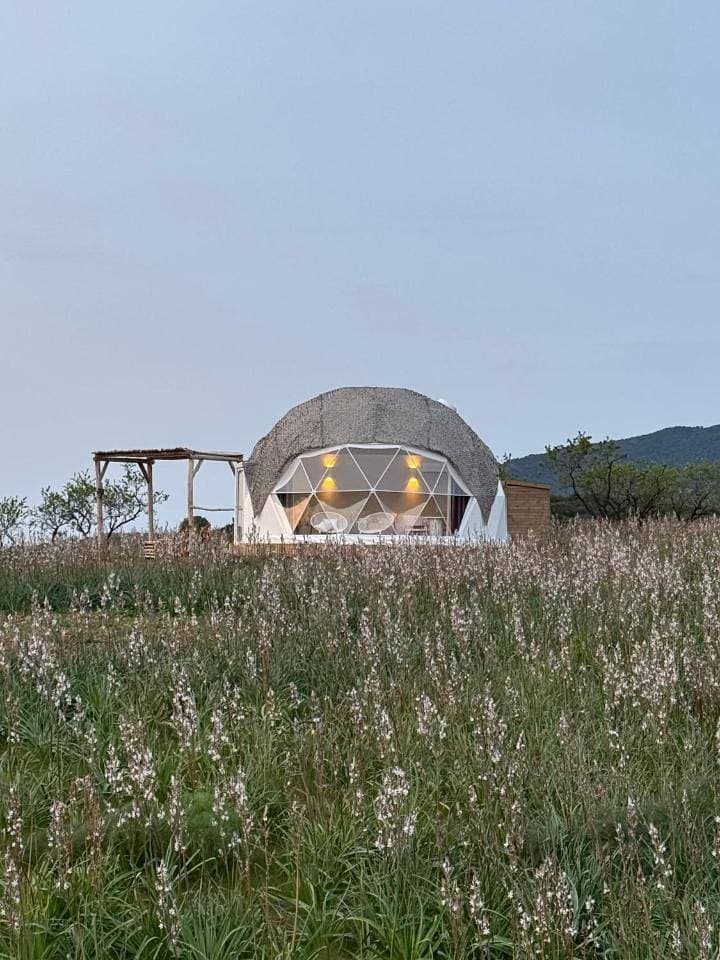 Foto 6 von 21: Tent