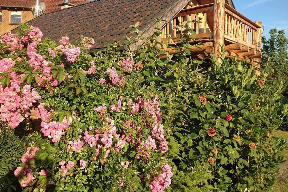 Foto 7 von 30: Gemütliches Ferienhaus am Reinhardswald in der Nähe der Sababurg