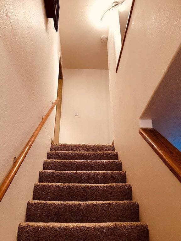 Foto 13 von 41: The Perfect House For Your Western Colorado Trip
