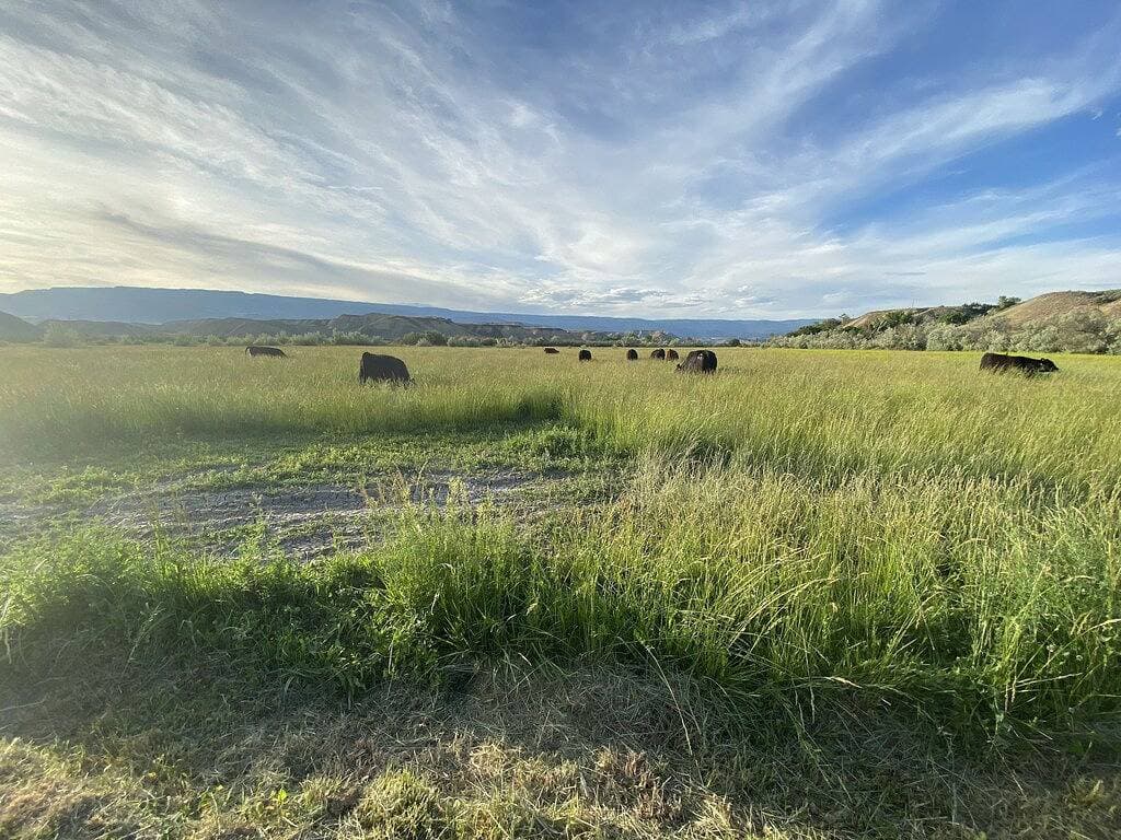 Foto 5 von 46: Ruhiger Bungalow mit 2 Schlafzimmern auf einer 70 Hektar großen privaten Ranch
