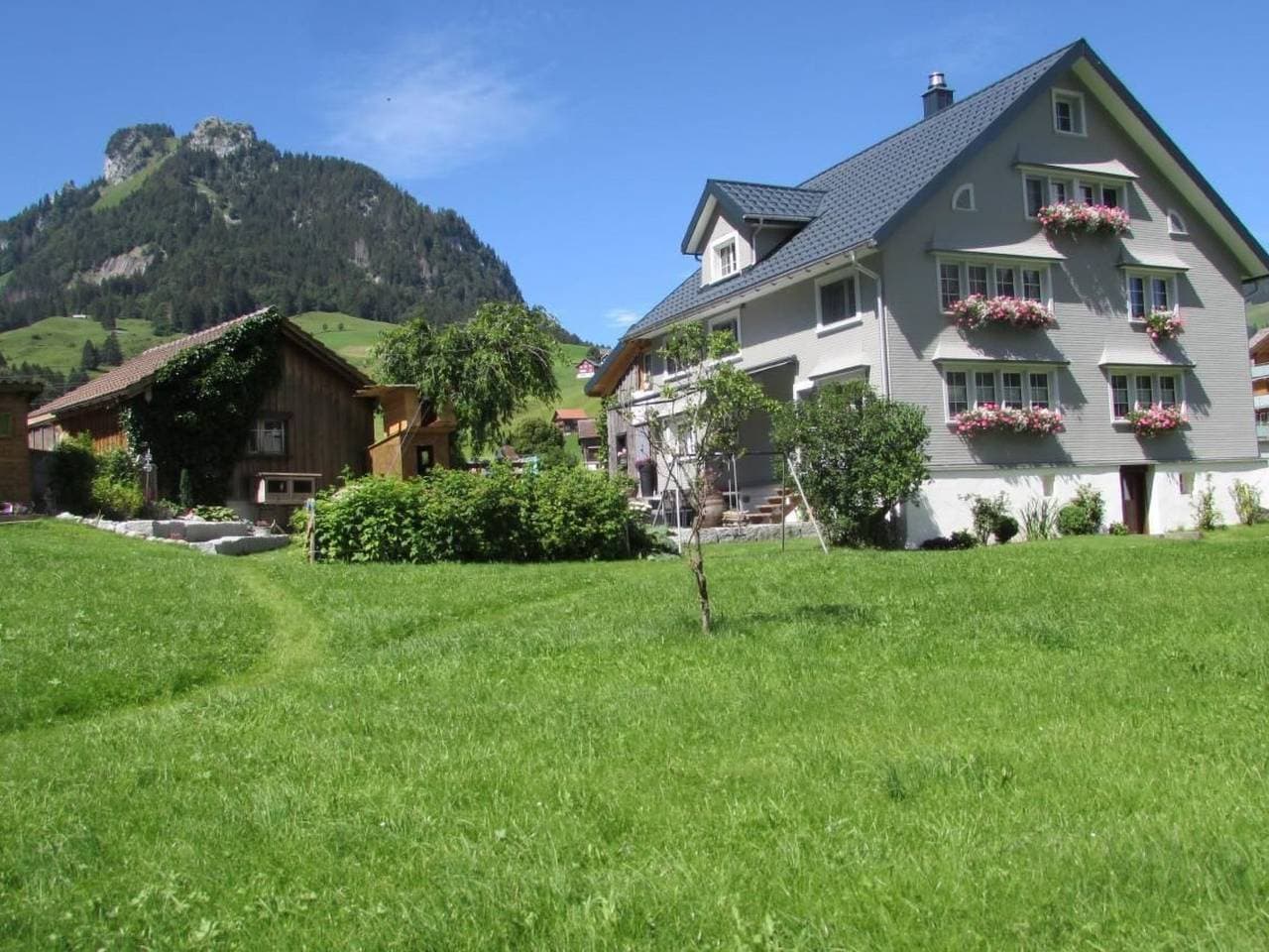 Wis (Stein) 1