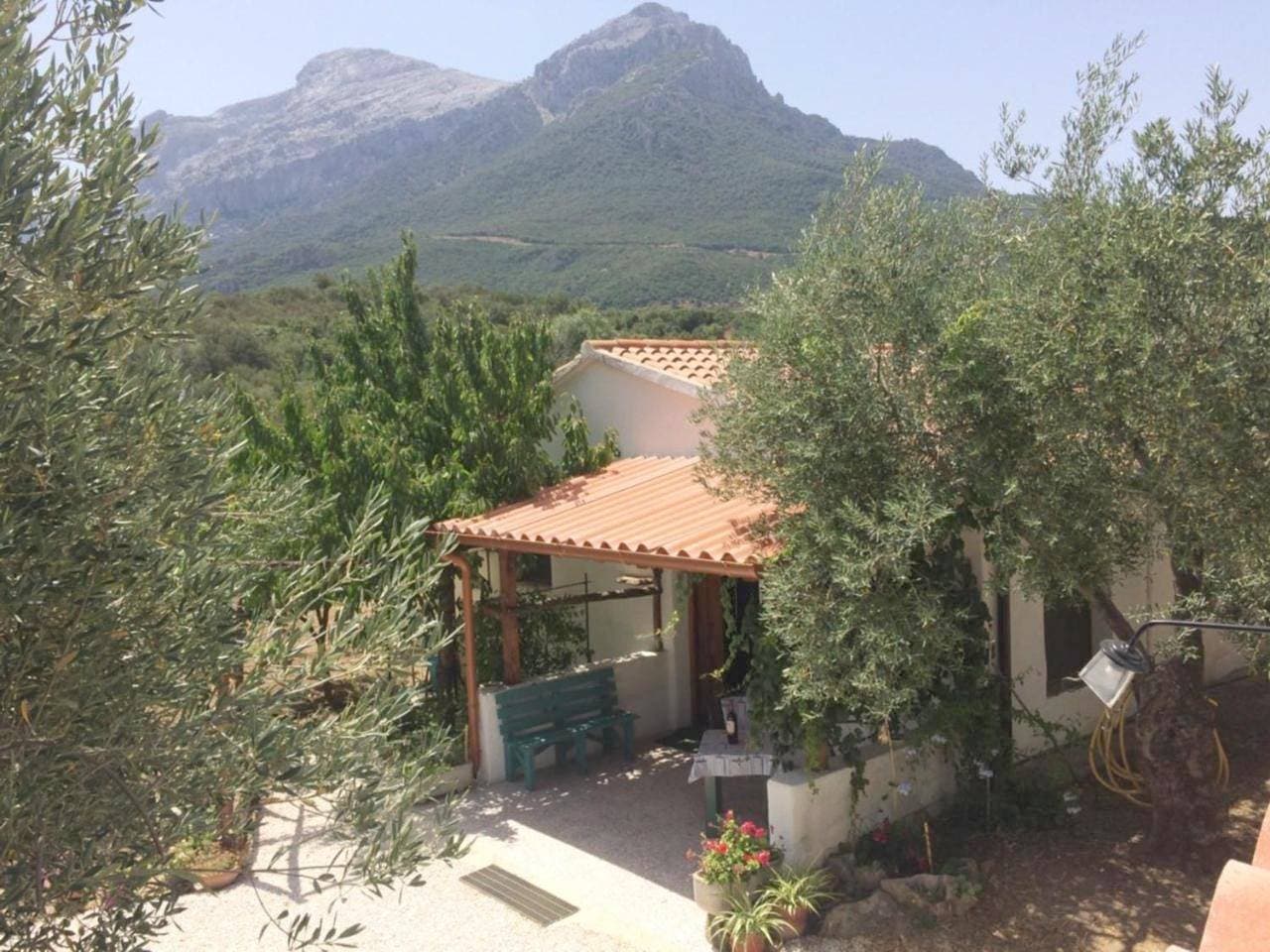 Foto 3 von 20: Holiday Home