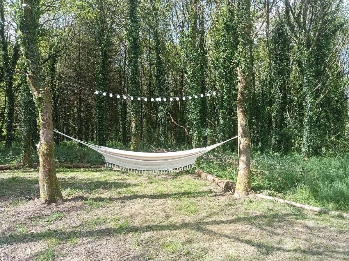 Foto 5 von 8: Tent