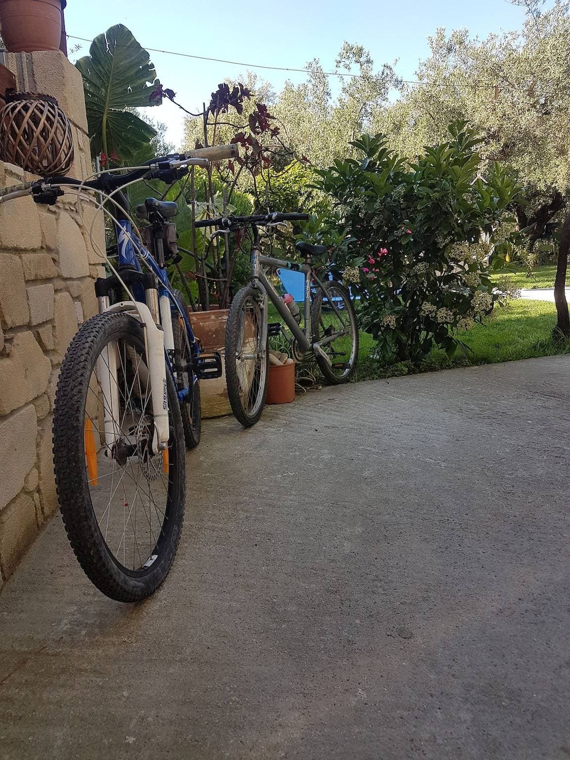Foto 2 von 54: Ferienhaus für 3 Personen mit Garten