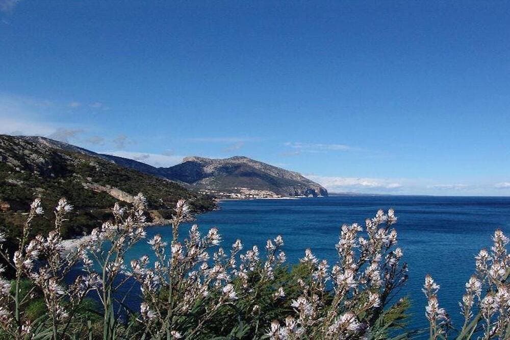 Foto 13 von 22: Zweizimmerwohnung Am Meer In Sardinien Nur 50 Mt Vom Meer Und Stränden Entfernt !!