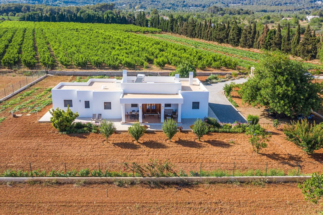 Casa Cristina Ibiza 1