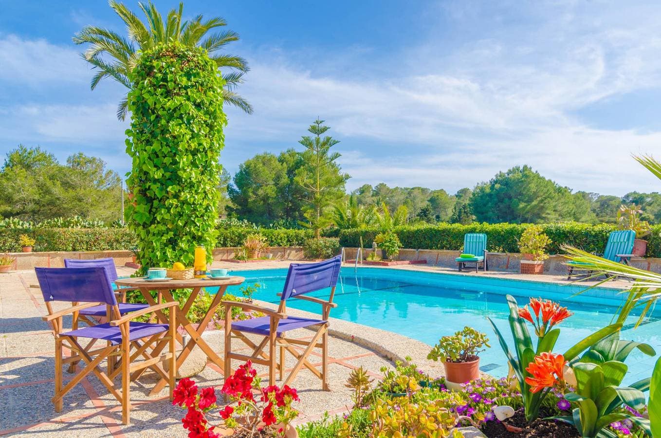 Foto 4 von 34: Torre Marina - Ferienhaus mit privaten Pool in Sa Ràpita. WiFi gratis
