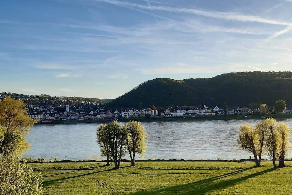 Appartement mit Rheinblick 1