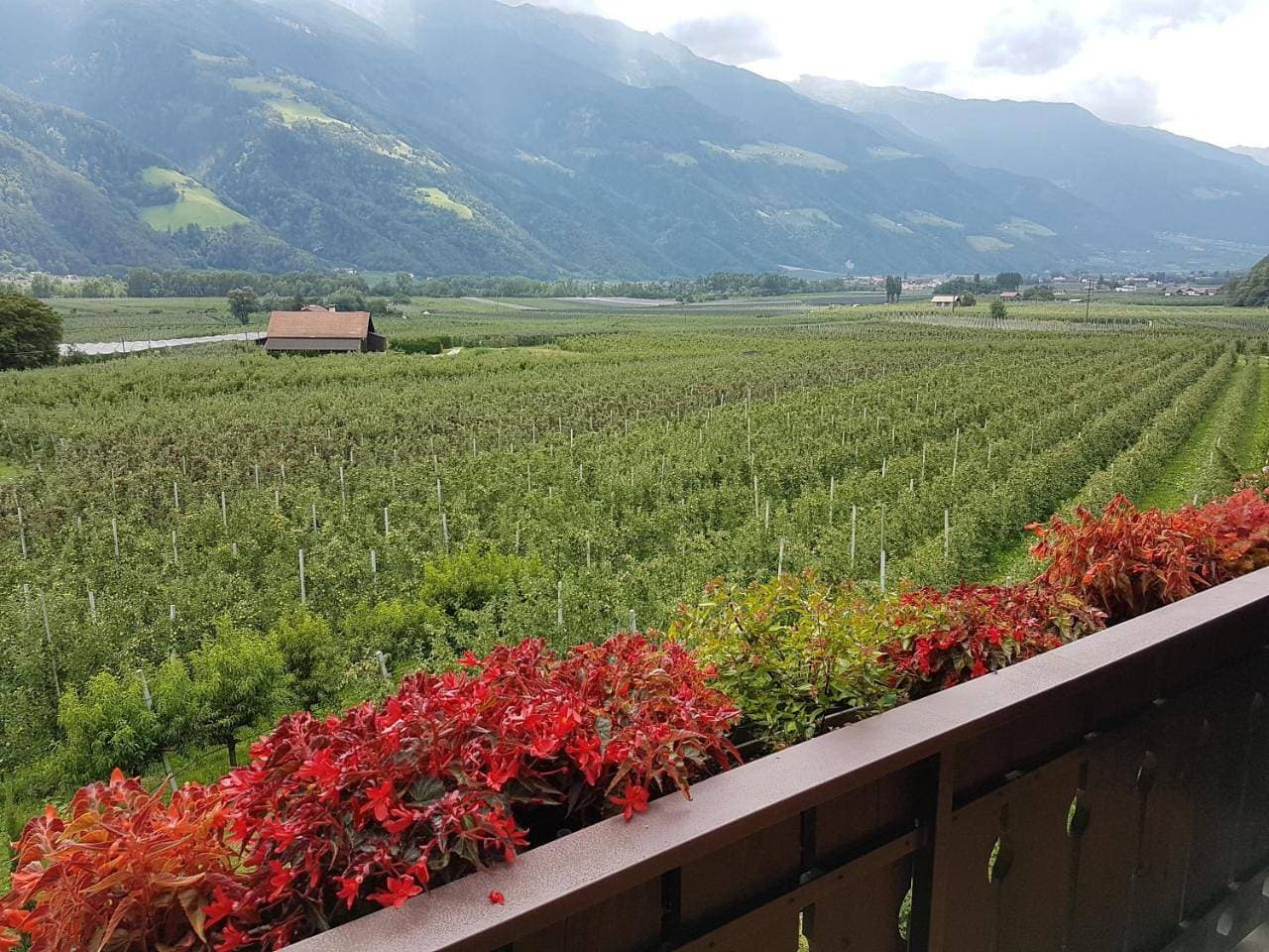 Foto 7 von 25: Double Room with Balcony and Mountain View