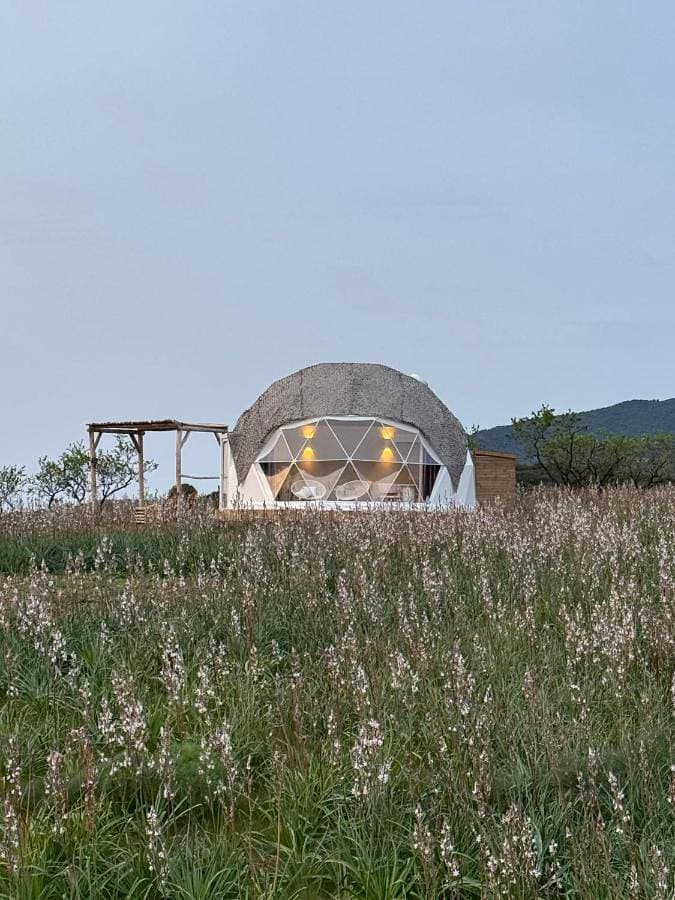 Foto 2 von 21: Tent