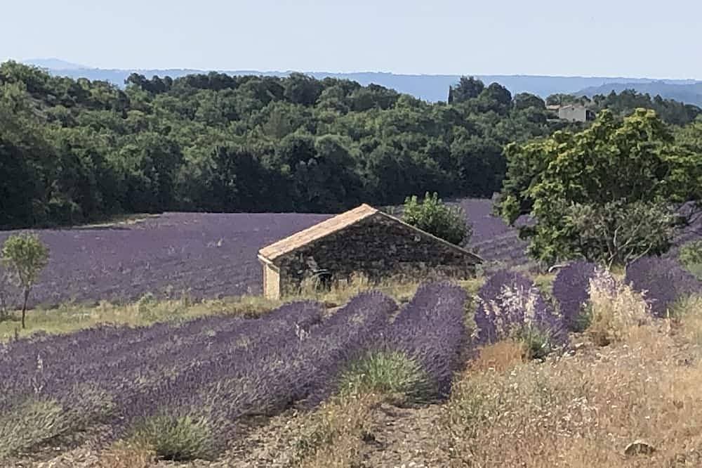 Quiet little cottage in the middle of lavender fields 1