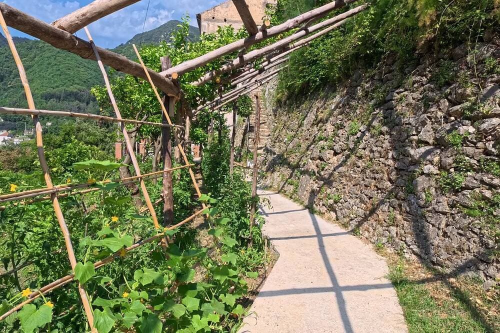 Foto 8 von 22: Casale Gelsi A.P.T(Gelsi) Costiera Amalfitana