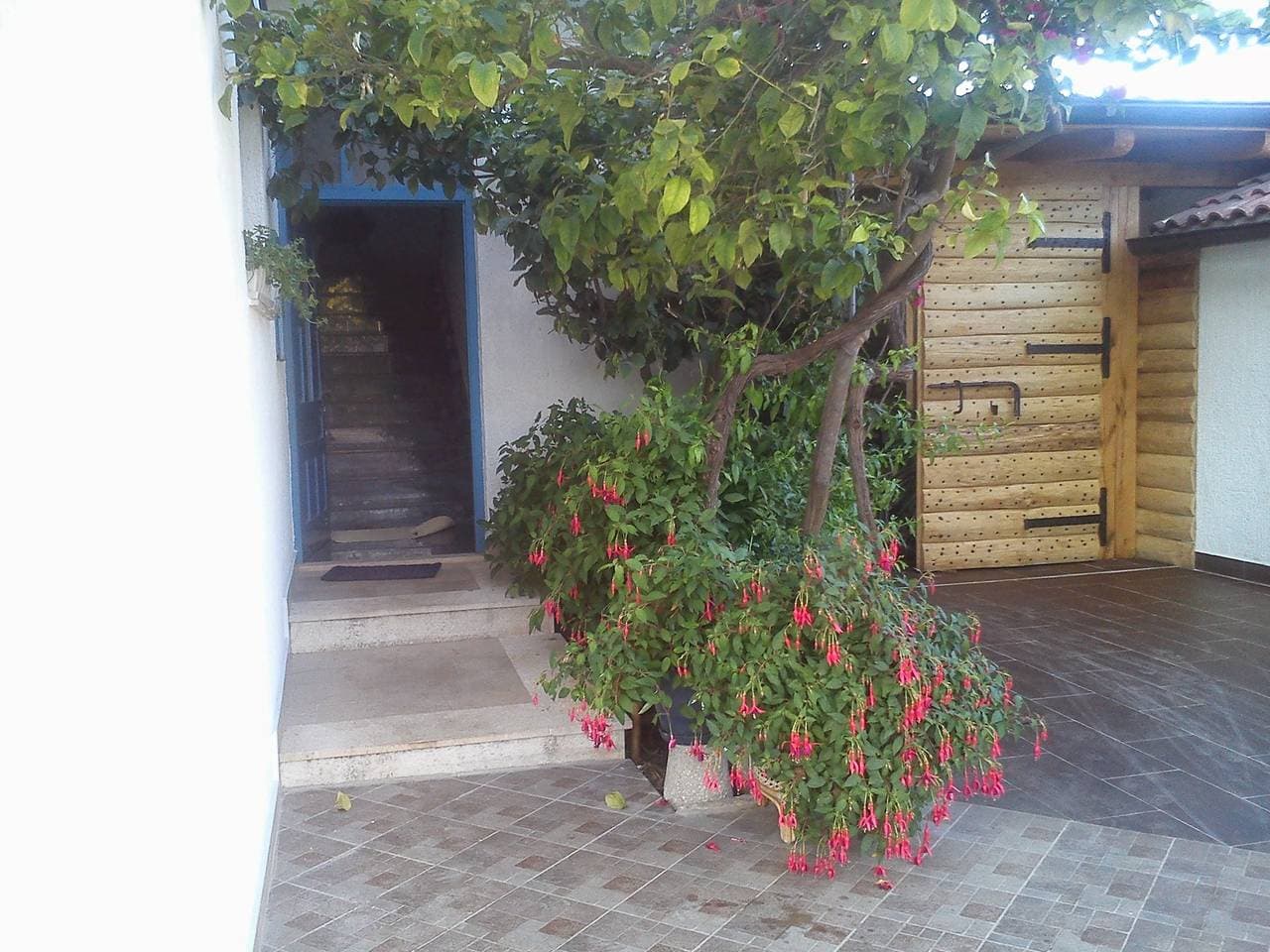 Foto 13 von 28: Studio Appartement mit Balkon und Meerblick Sucuraj, Hvar As-3589-l