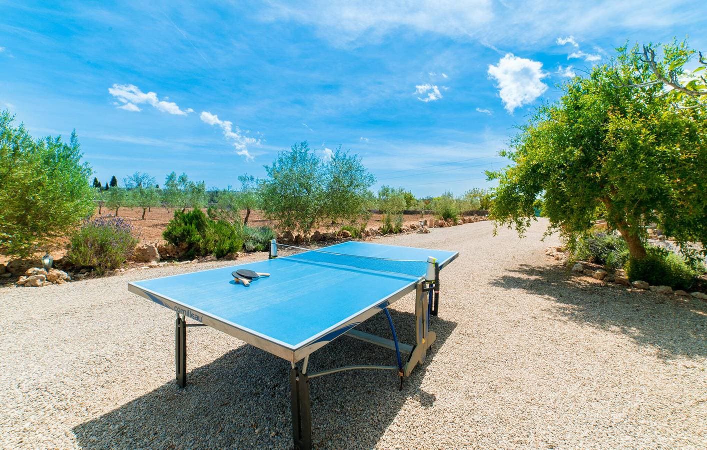 Foto 7 von 37: Santa Margalida Oase: Wunderschönes 2-Bett-Zimmer mit Pool und Grill