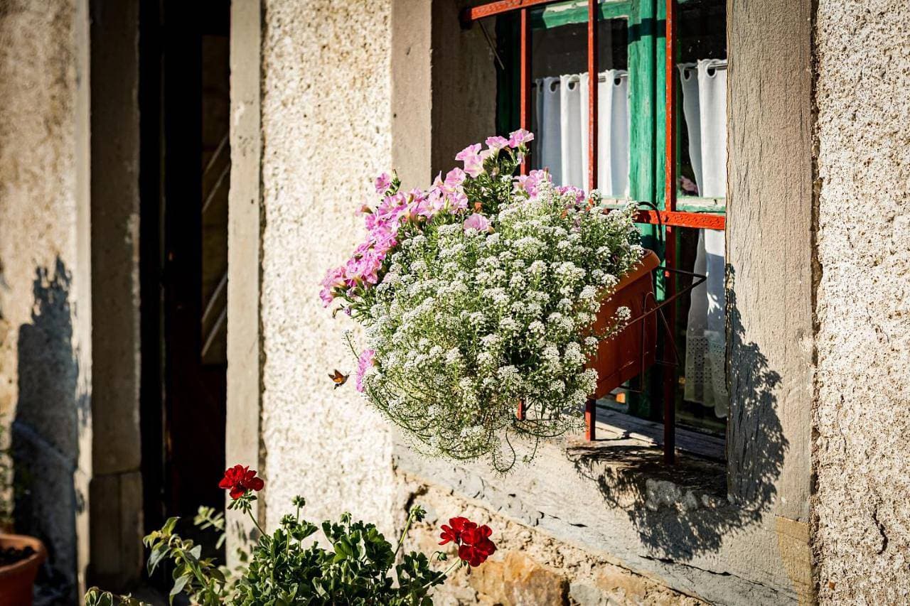 Foto 11 von 52: Holiday Home