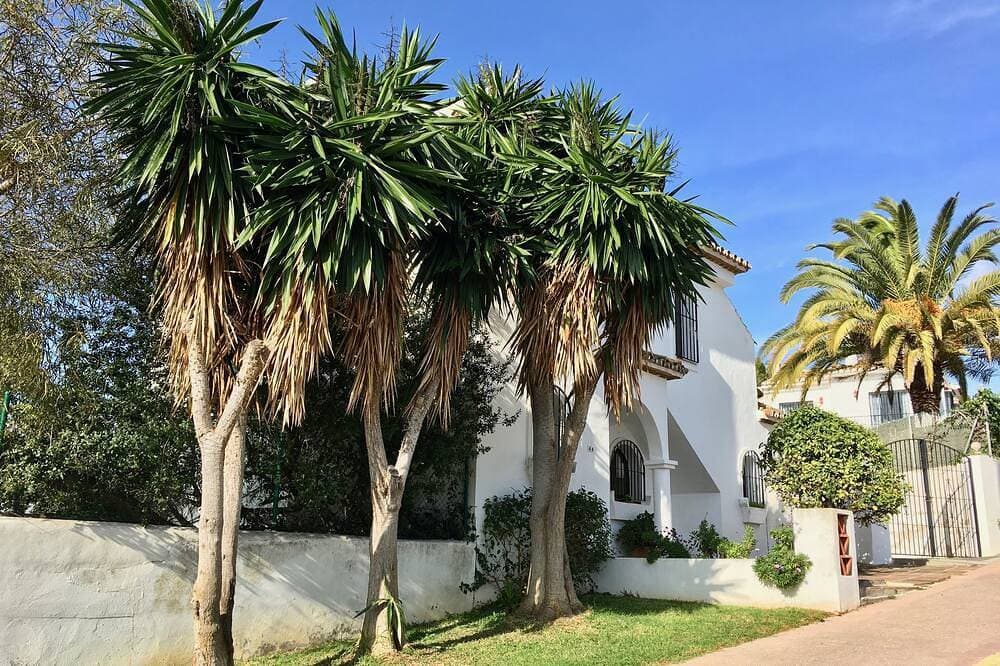 Foto 9 von 23: Geräumige, helle Villa: großer Pool, 3 Schlafzimmer, 3 Bäder, Meerblick