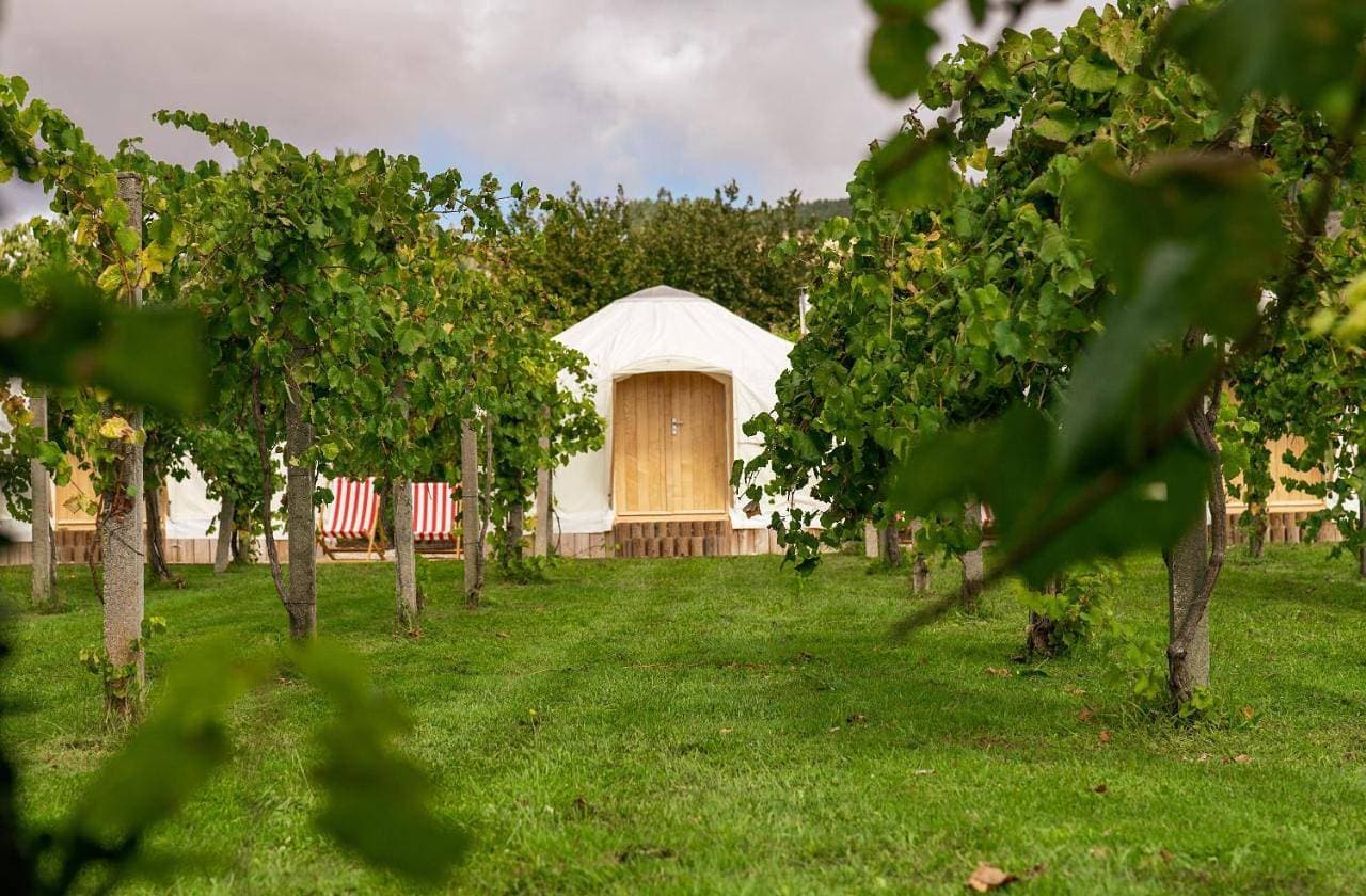 Foto 6 von 11: Luxury Yurt