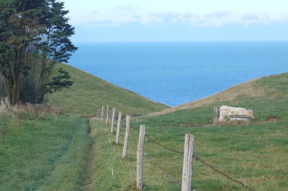 Foto 13 von 30: Charmantes Fischerhaus in Südlage, ruhig und sonnig