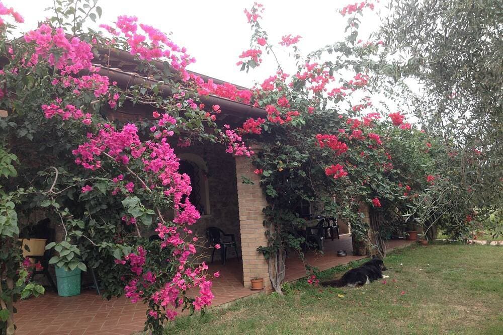 Foto 6 von 28: Casa Santina Haus in einem großen mediterranen Garten befindet