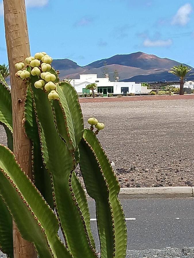 Casa Los Volcanes 1