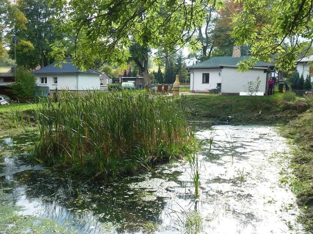 Foto 2 von 20: ||-------"Haus Waldesruh"------------------||