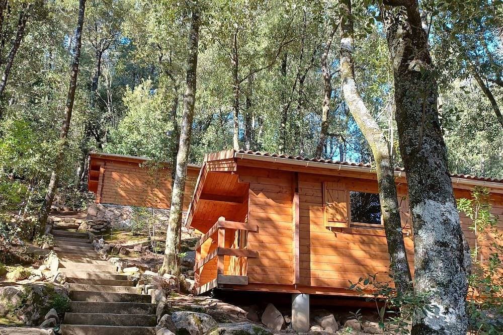 Foto 7 von 14: Chalet de Location au Cœur de la Forêt. Randonnées Entre Rivière et Montagne