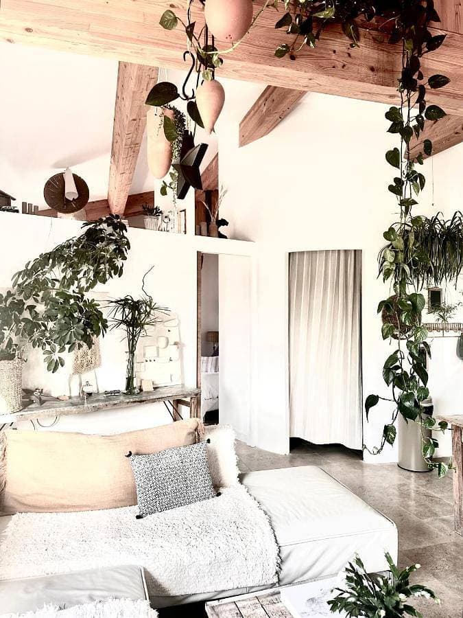 Foto 5 von 48: Superior King Room