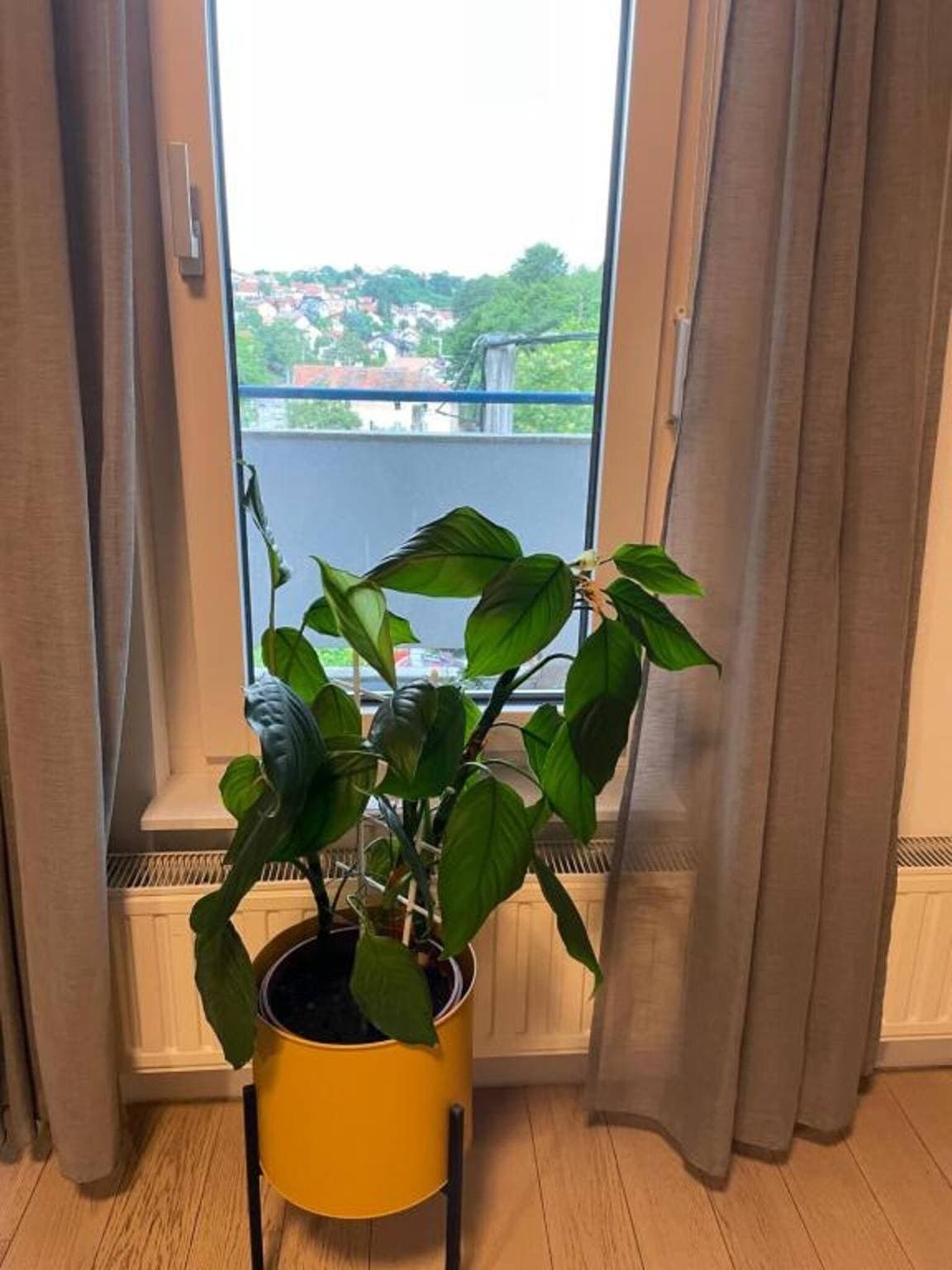 Foto 4 von 26: Ferienwohnung für 4 Personen mit Balkon