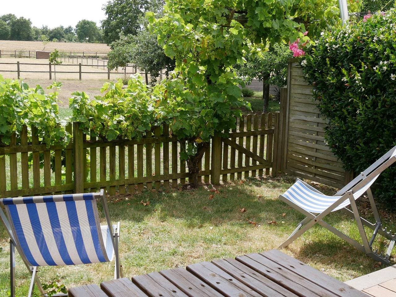 Charmantes Suites Authentiques au Cœur des Vignes avec Terrasse et Vélos à 17km de Nantes 1