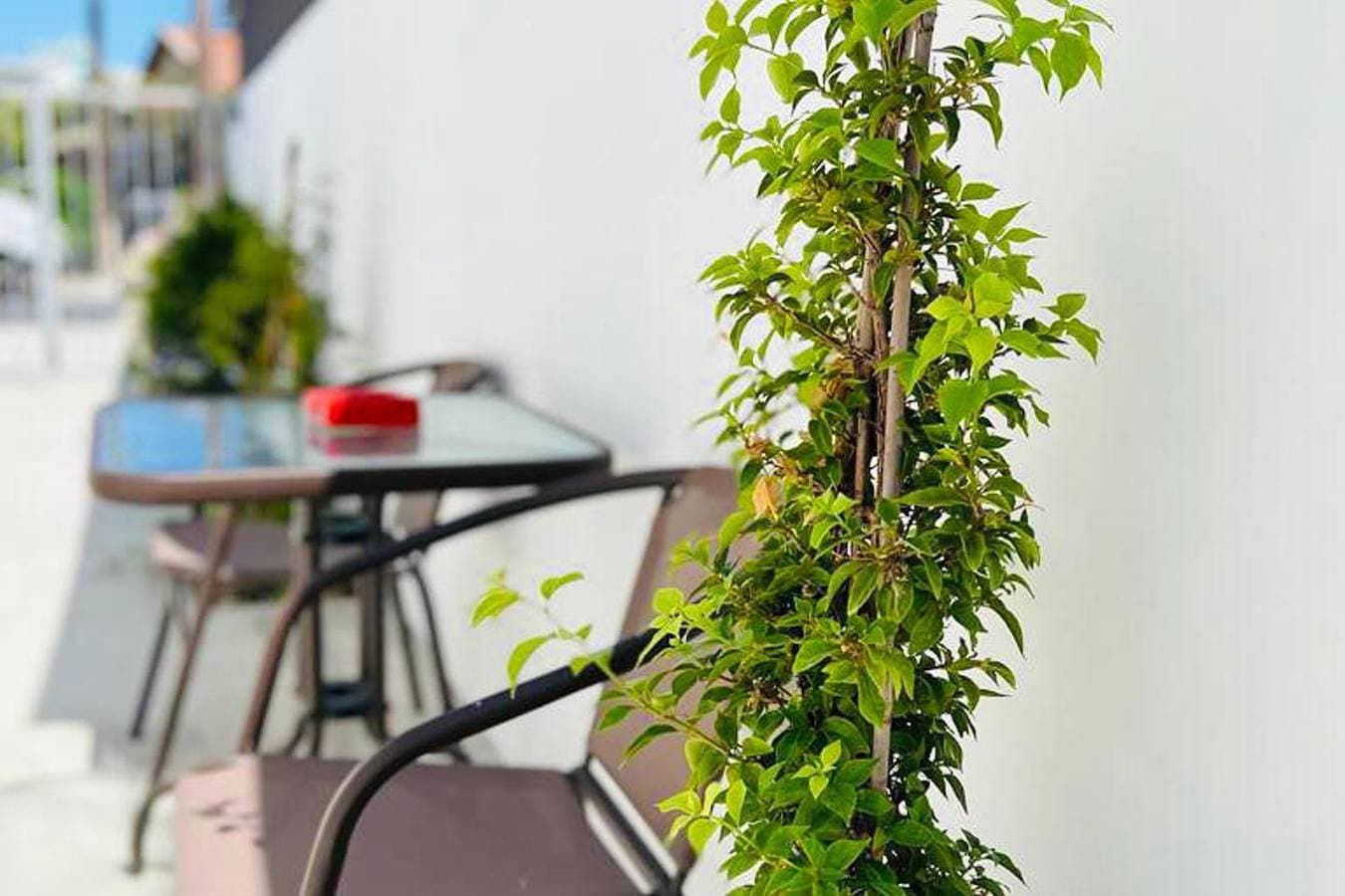 Foto 5 von 11: Studio für 4 Personen mit Garten