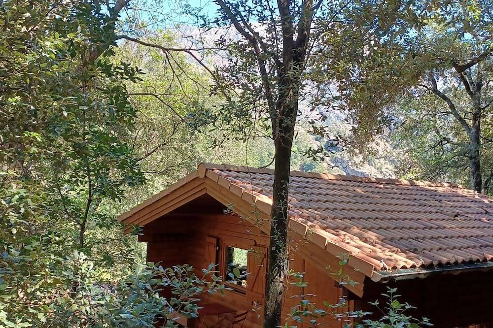 Foto 6 von 14: Chalet de Location au Cœur de la Forêt. Randonnées Entre Rivière et Montagne