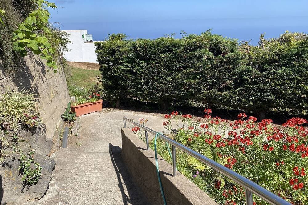 Foto 10 von 30: Wunderschönes Blockhaus auf einer ruhigen kanarischen Finca, umgeben von Avocados und Reben
