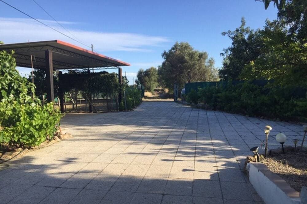Foto 7 von 30: Stille der Vögel