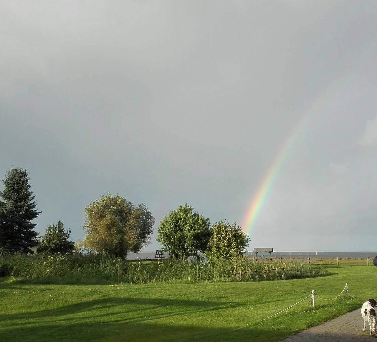 Foto 12 von 23: Bungalow, Altwarp , Meerblick,Hund darf mit