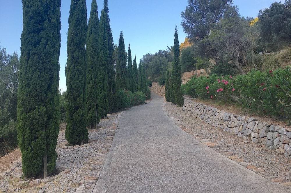 Foto 11 von 15: Ferien auf der Finca Can Juan