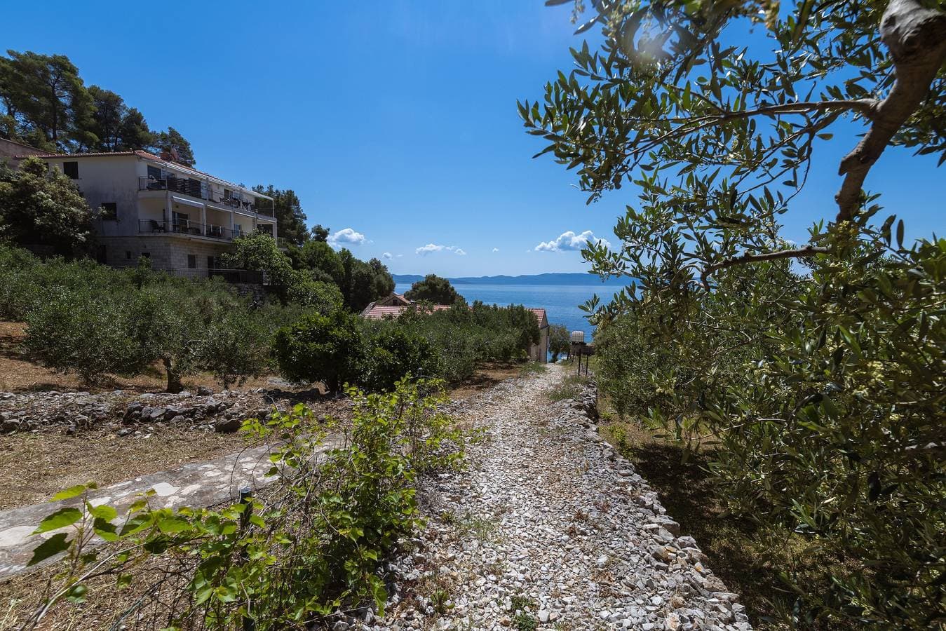 Foto 9 von 39: 2-Zimmer-Ferienwohnung mit Terrasse und Meerblick Bucht Torac, Hvar A-24462-a