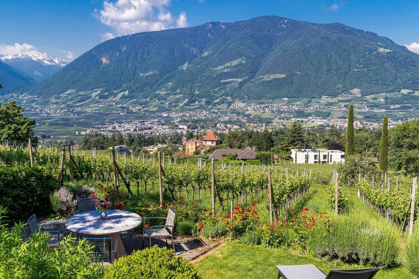 Foto 11 von 19: Ferienwohnung "Barrique" mit Bergblick, WLAN und Garten