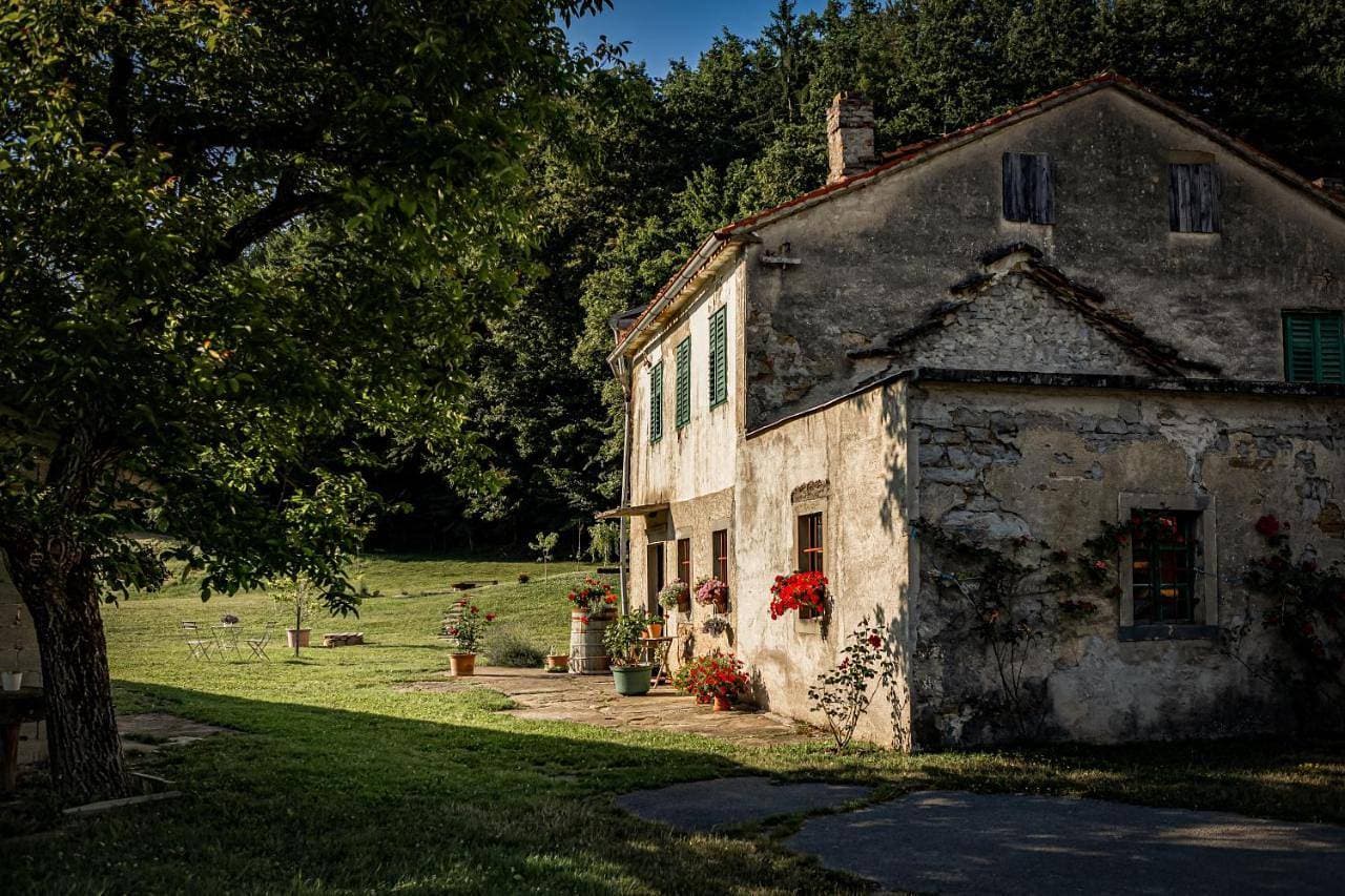 Foto 12 von 52: Holiday Home